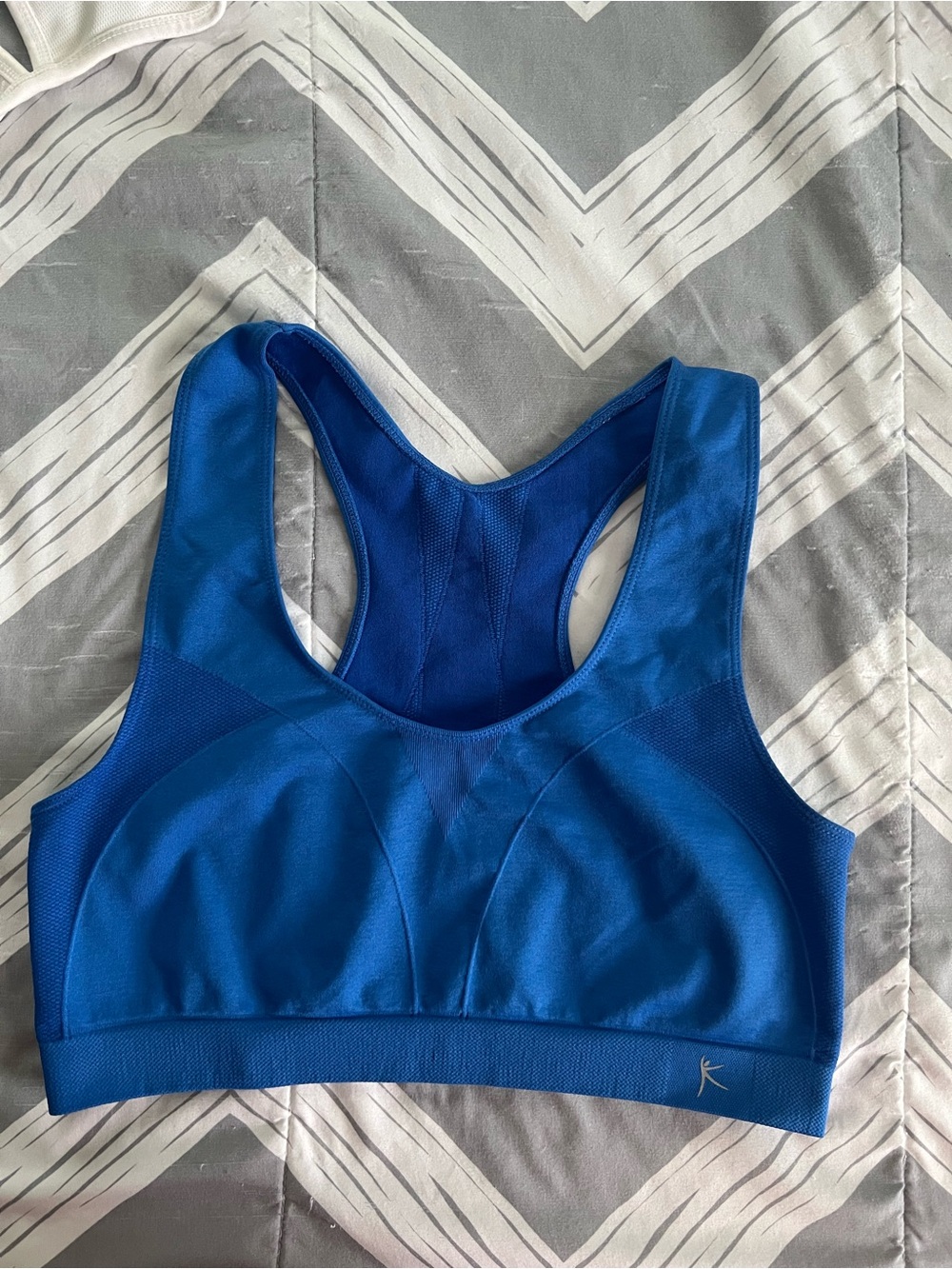 Danskin Women’s Blue Racerback Sports Bra